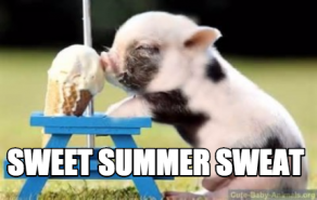 sweet-summer-sweat